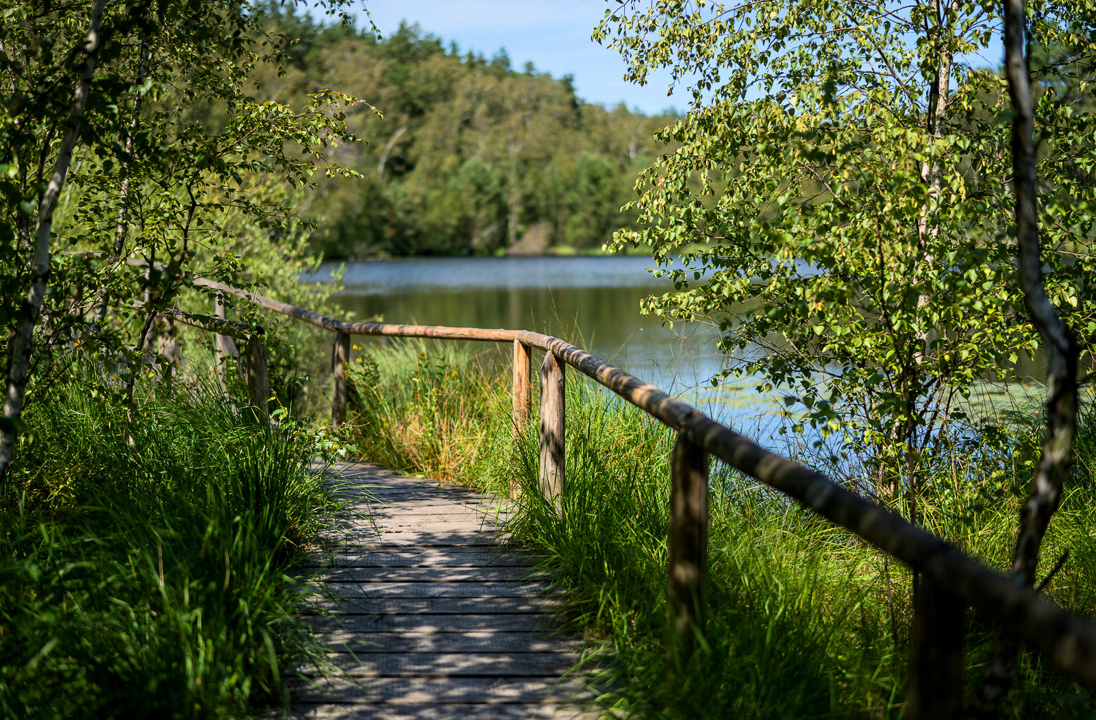 Waren, die Müritz und Umgebung