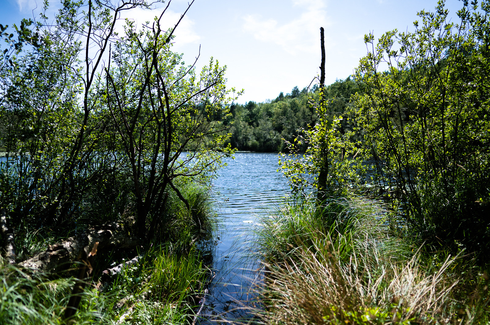 Reisetipps, Urlaub in Waren - Der Müritzsee - Die Müritz