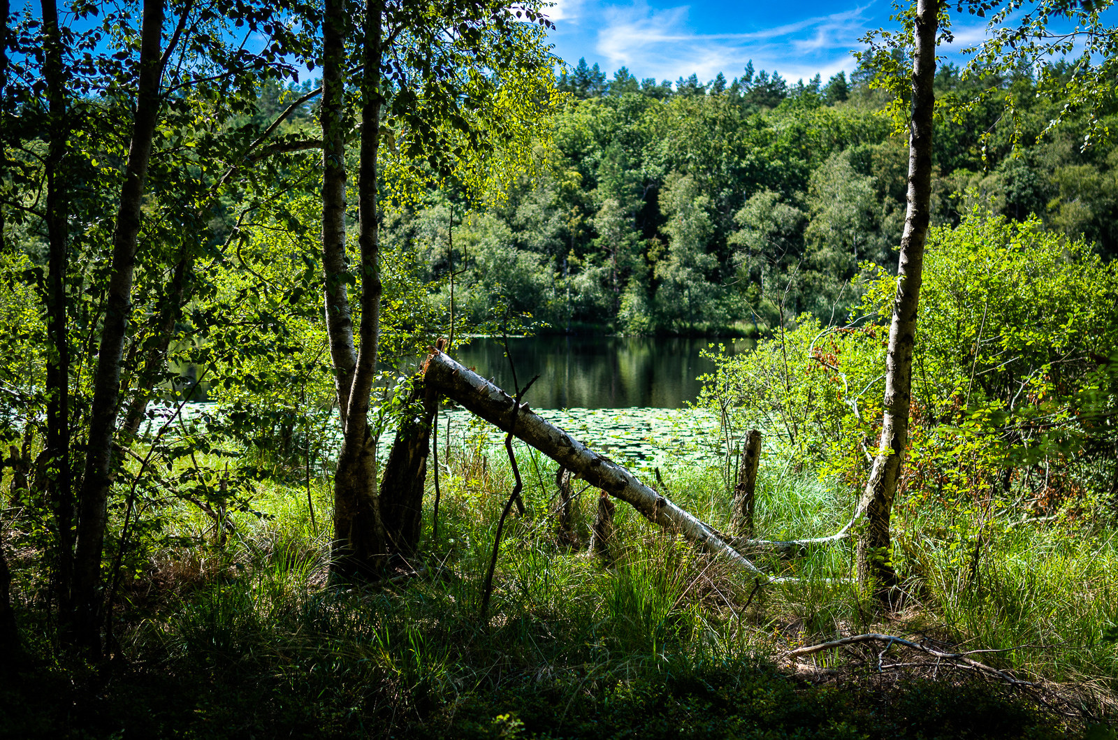 Waren, die Müritz und Umgebung