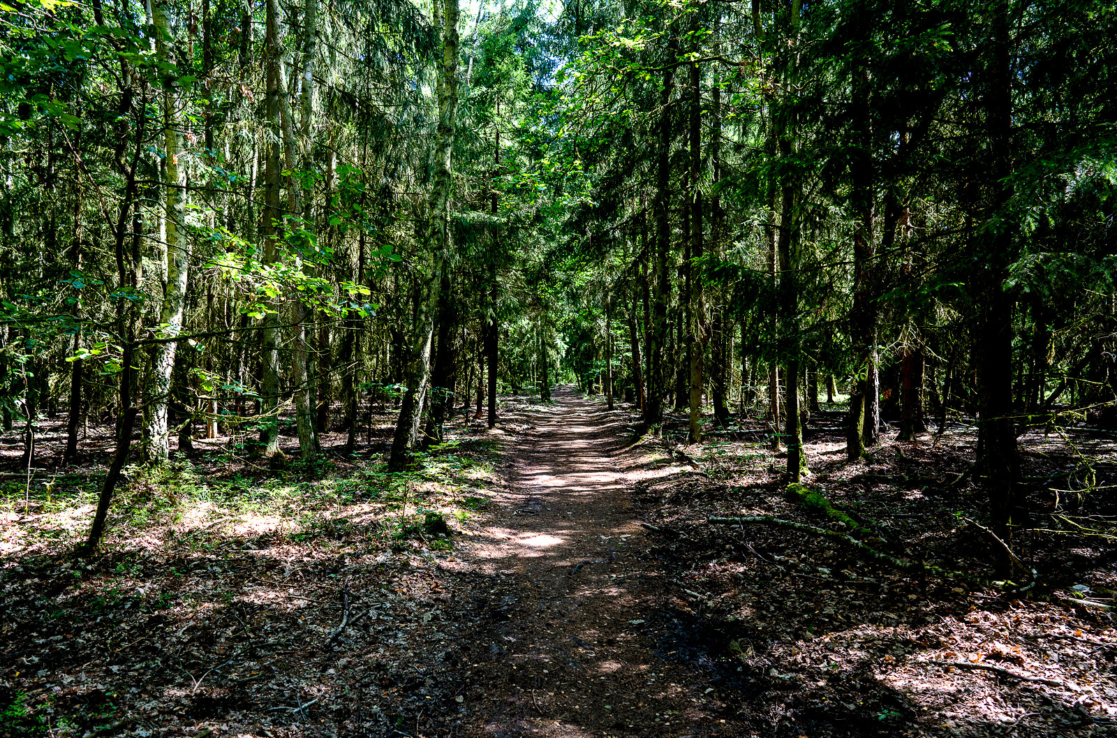 Waren, die Müritz und Umgebung