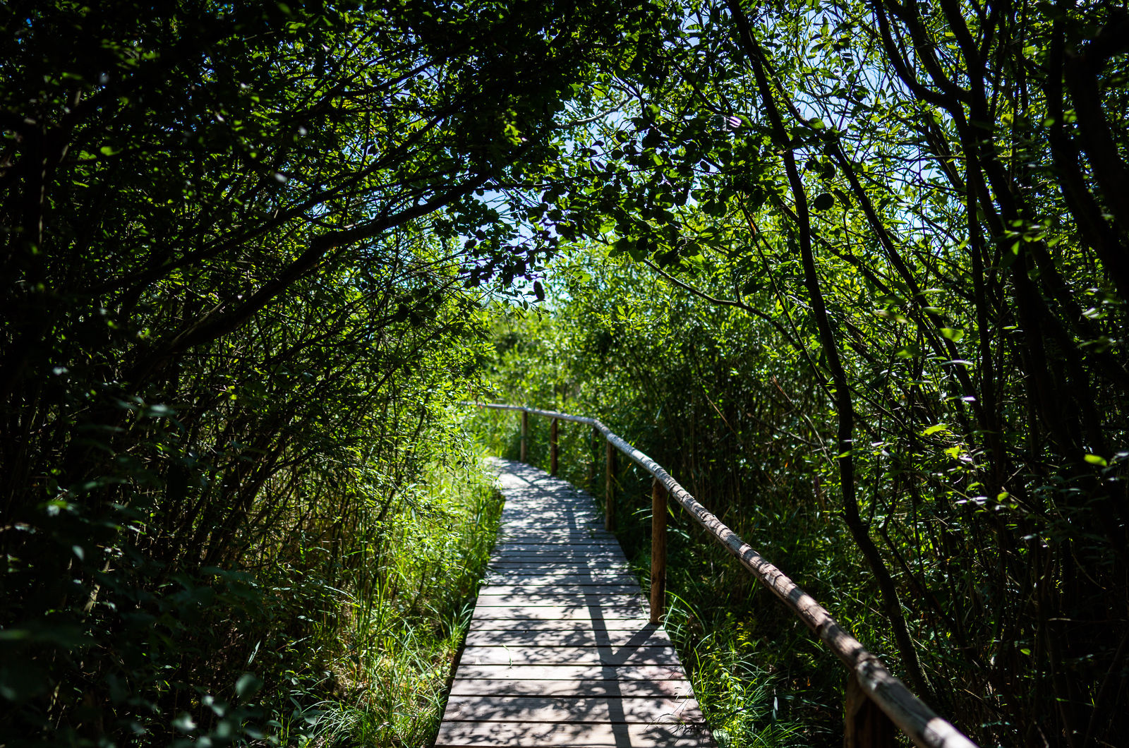 Waren, die Müritz und Umgebung