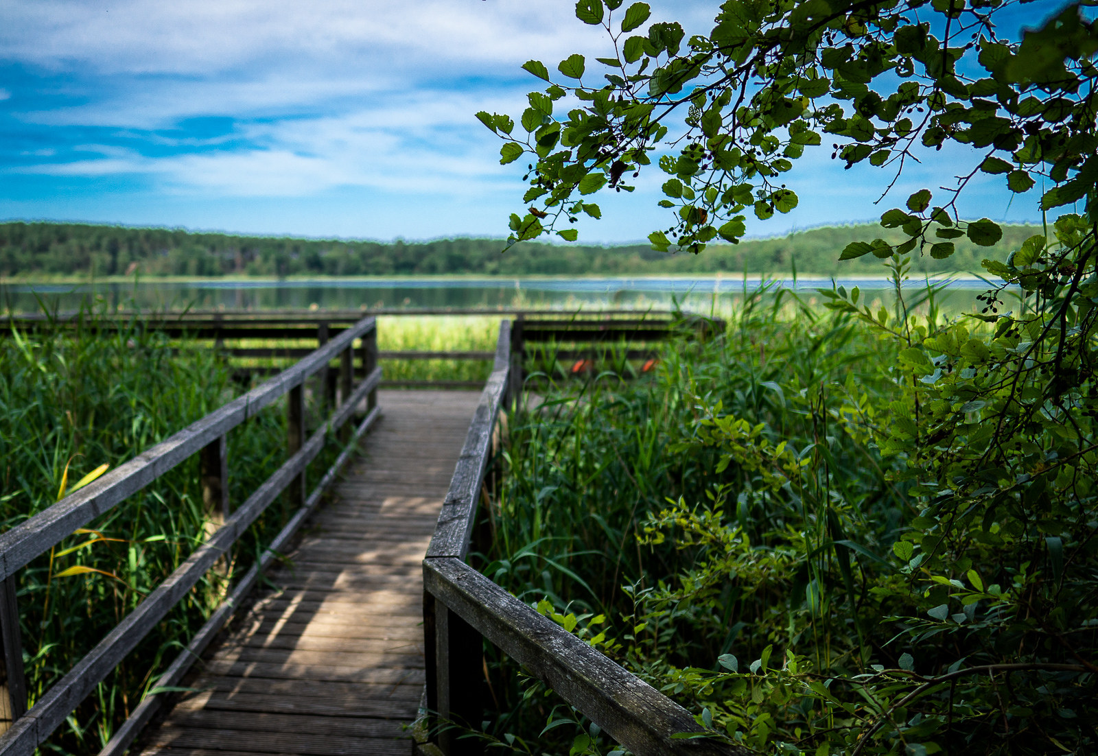 Waren, die Müritz und Umgebung