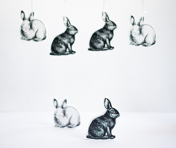 3D Hase mini