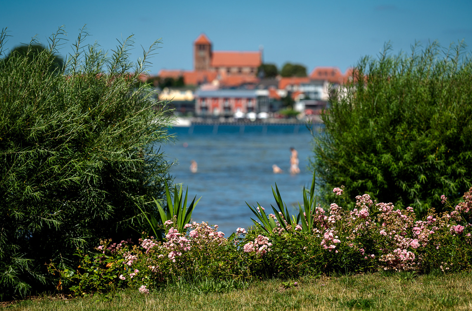 Reisetipps, Urlaub in Waren - Der Müritzsee - Die Müritz