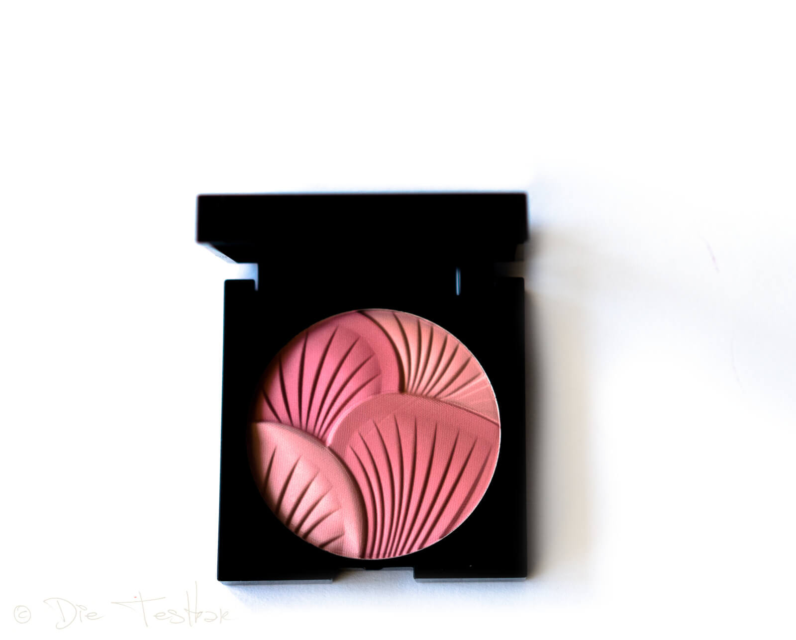 blusher powder von JEAN D’ARCEL