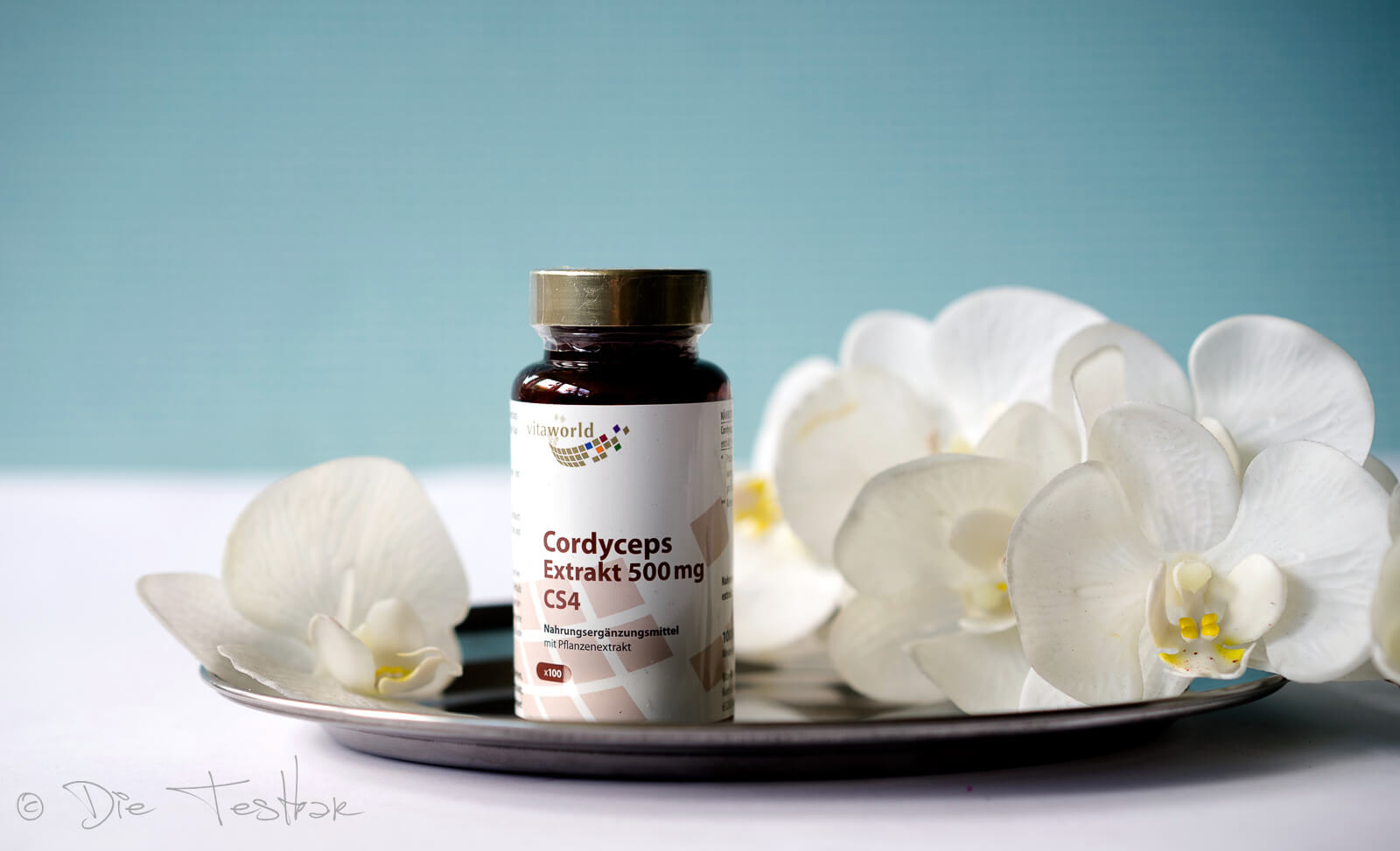 Cordyceps Extrakt 500 mg CS4