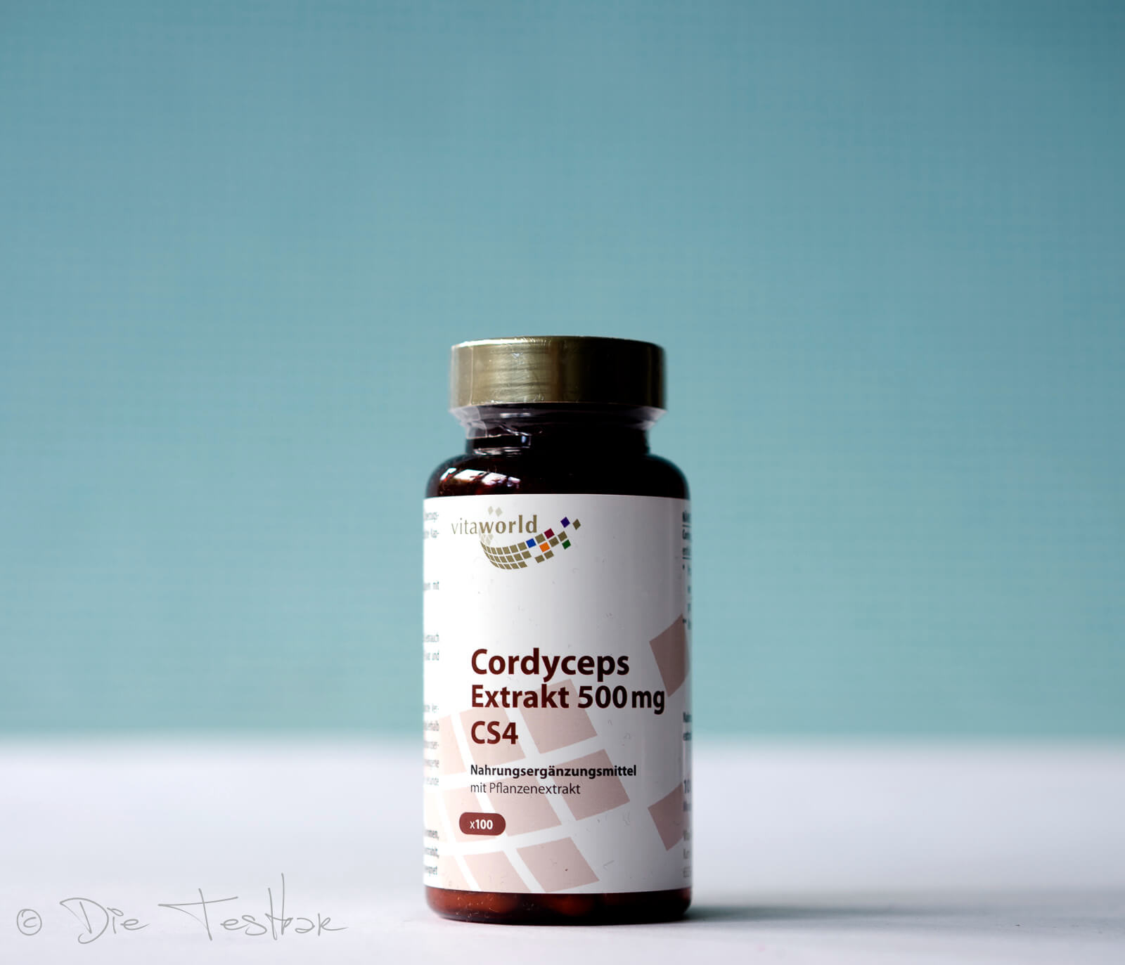 Cordyceps Extrakt 500 mg CS4