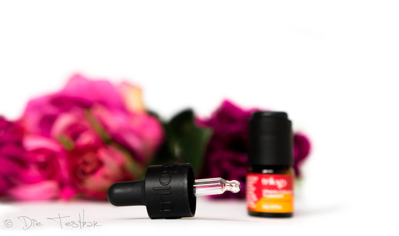 Review - Hagebuttenkernöl in seiner reinsten Form - hochwertige Naturkosmetik von Trilogy 17