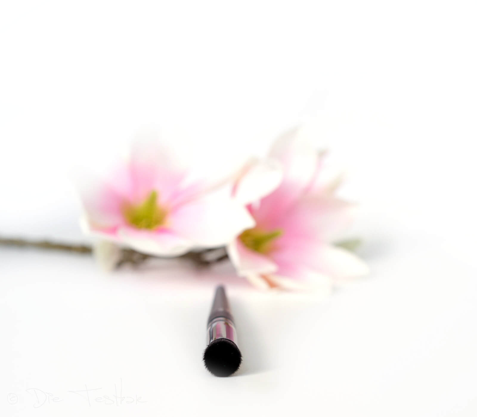 Review - Ein wunderschönes Make-up zaubern mit den Produkten von Make up Factory 76