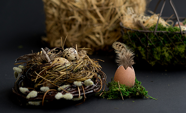 Noch mehr tolle Osterdeko 