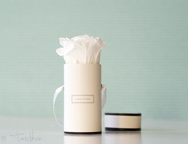 Fleurs de Paris - Konservierte Rosen - Infinity Collection Pure White Mini