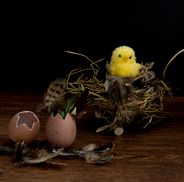 Süßes Kuscheltier Hase Richie