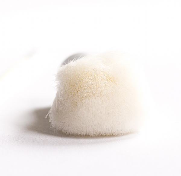 Schicke Kosmetikpinsel von 100% pure