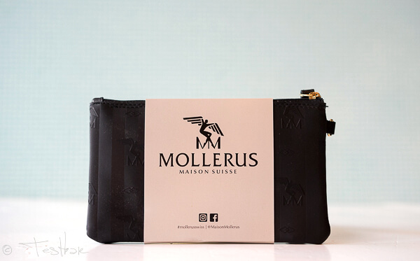 Maison Mollerus - Pochette EIGER