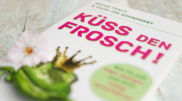 Küss den Frosch! Wie Sie die Angst besiegen und Ihren Erfolg verwirklichen