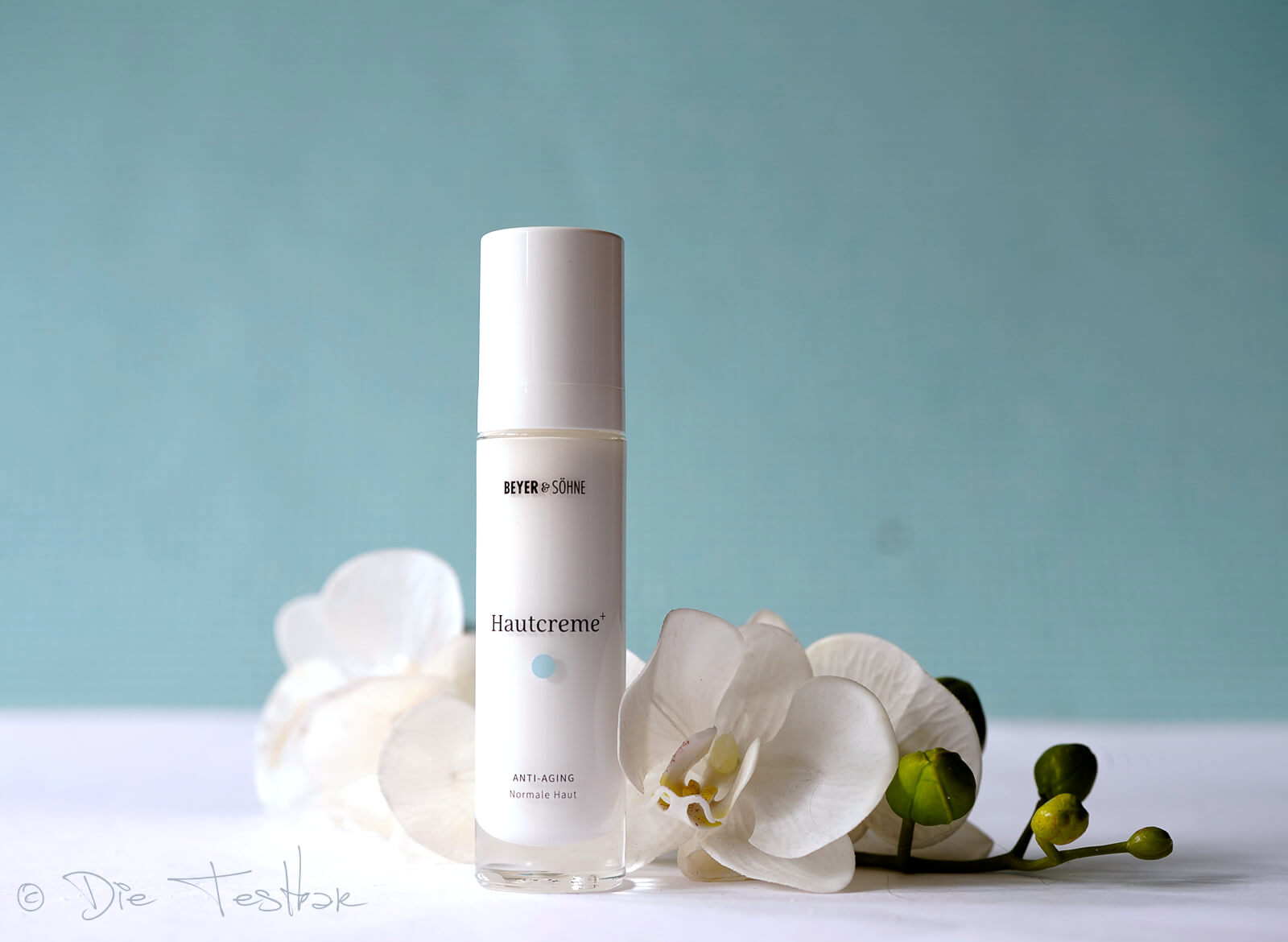 Hautcreme+ Anti‑Aging - Normale Haut