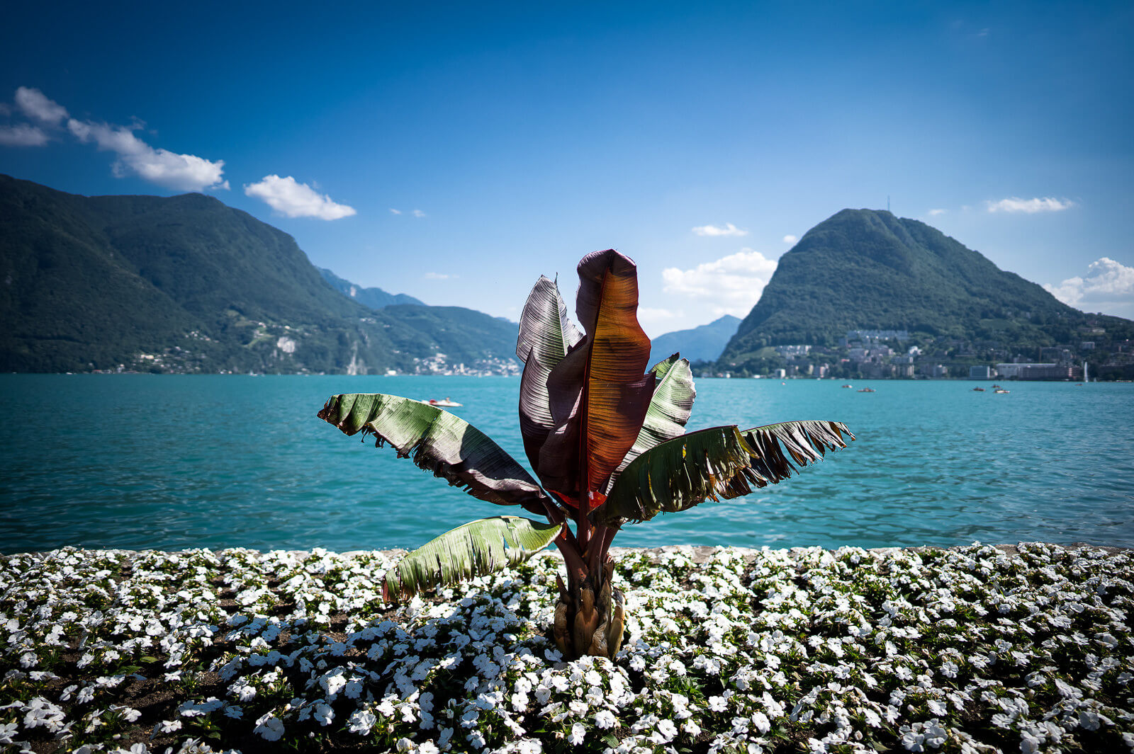 Reisetipps - Review - Urlaub in der Schweiz, in Melide, Lugano 47