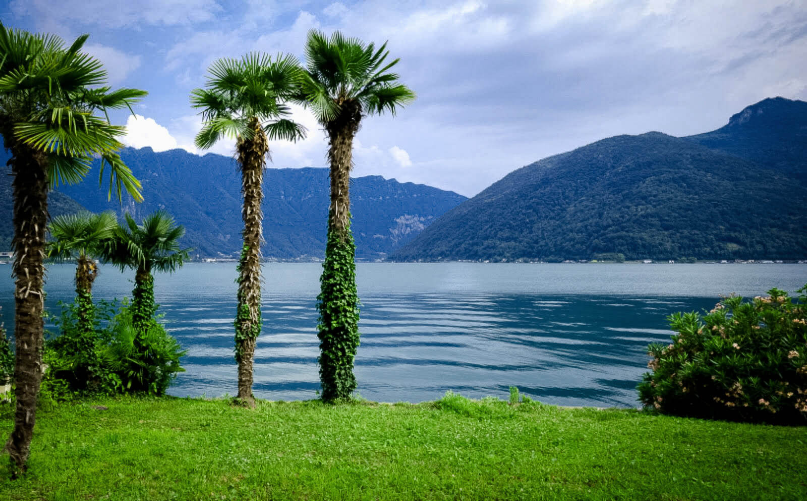 Reisetipps - Review - Urlaub in der Schweiz, in Melide, Lugano 6