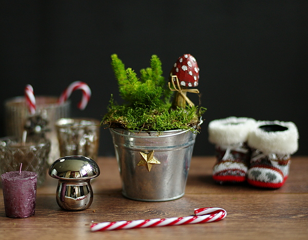  DIY - Hübsche Weihnachtsdeko im Blumen- und Zinktopf 