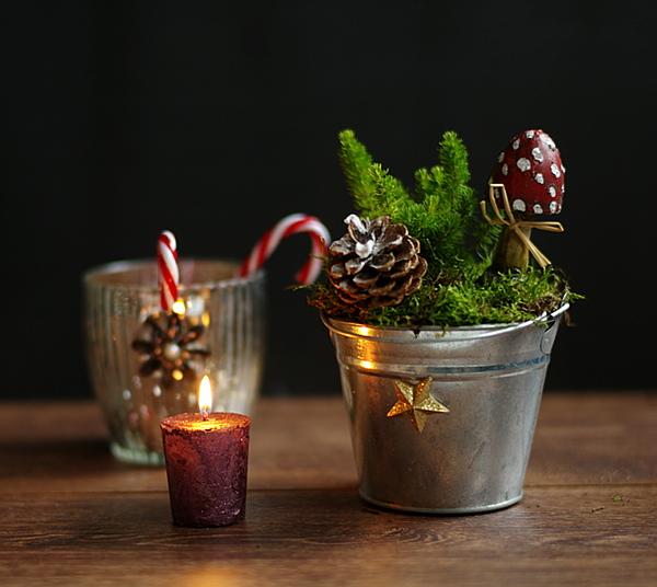  DIY - Hübsche Weihnachtsdeko im Blumen- und Zinktopf 