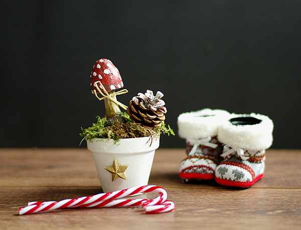  DIY - Hübsche Weihnachtsdeko im Blumen- und Zinktopf 