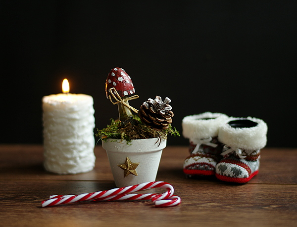  DIY - Hübsche Weihnachtsdeko im Blumen- und Zinktopf 